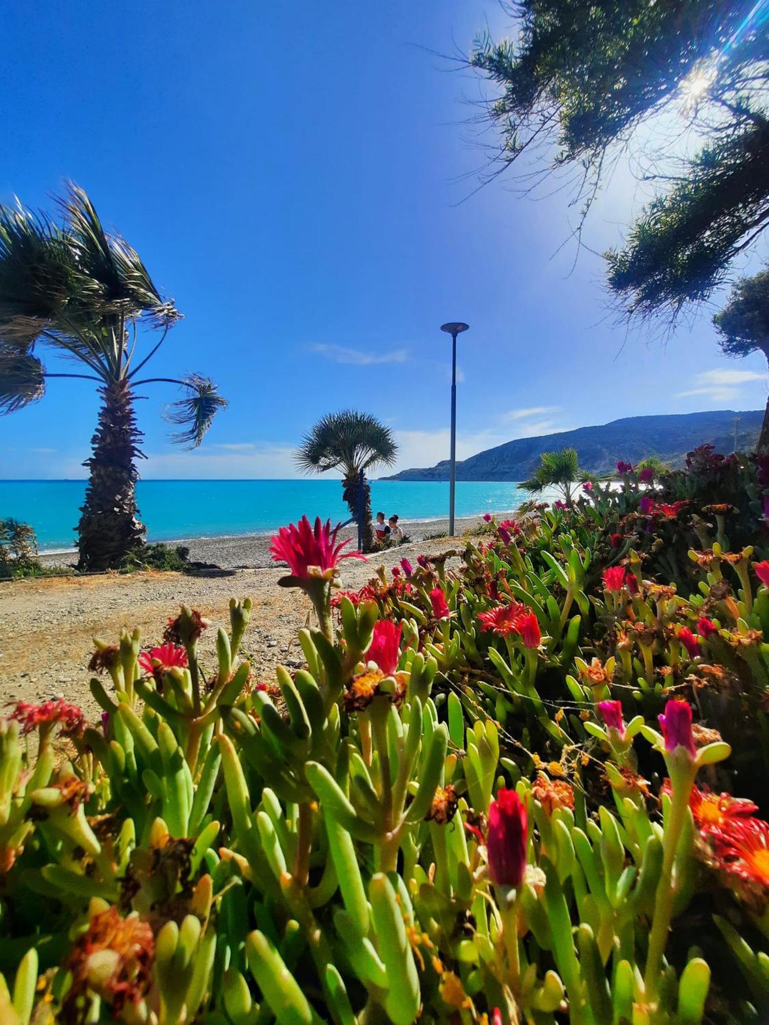 הוילה פיסורי Gorgeous Seaview House מראה חיצוני תמונה